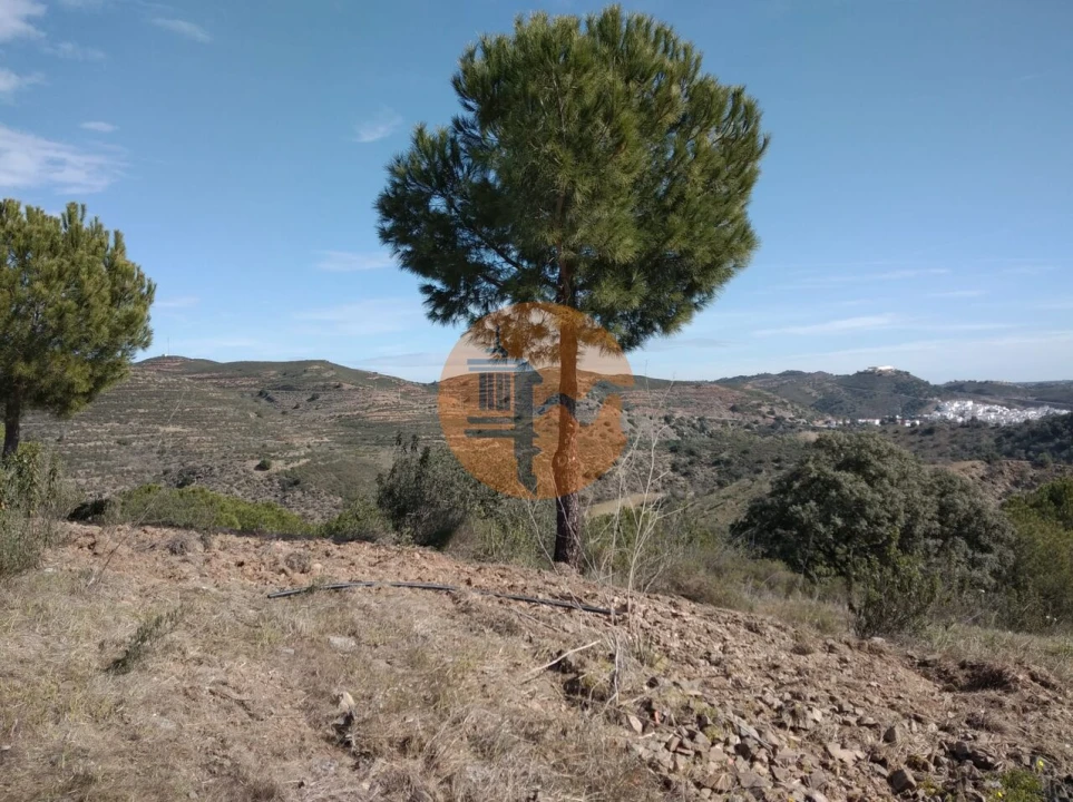 Quinta T0 para Venda em Alcoutim e Pereiro Foto 29