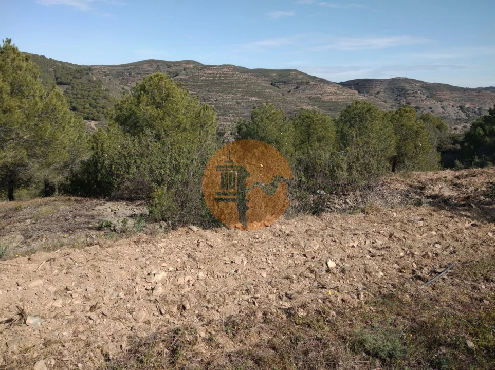 Quinta T0 para Venda em Alcoutim e Pereiro Foto 32