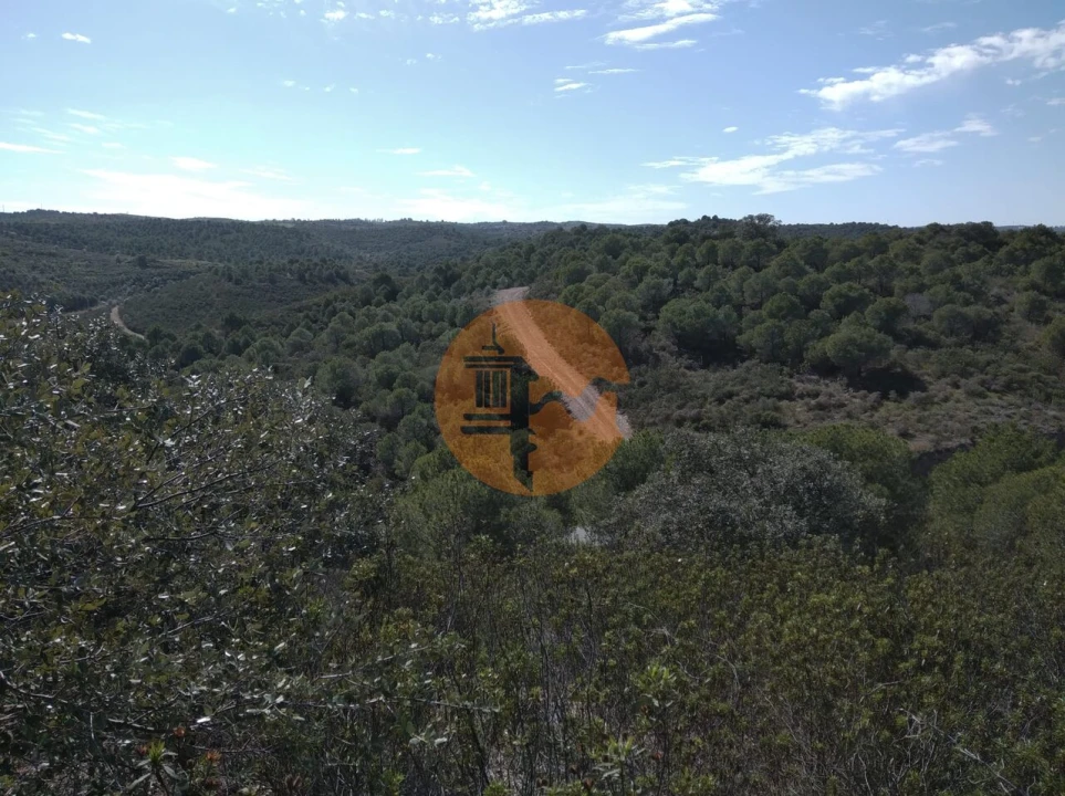 Quinta T0 para Venda em Alcoutim e Pereiro Foto 36