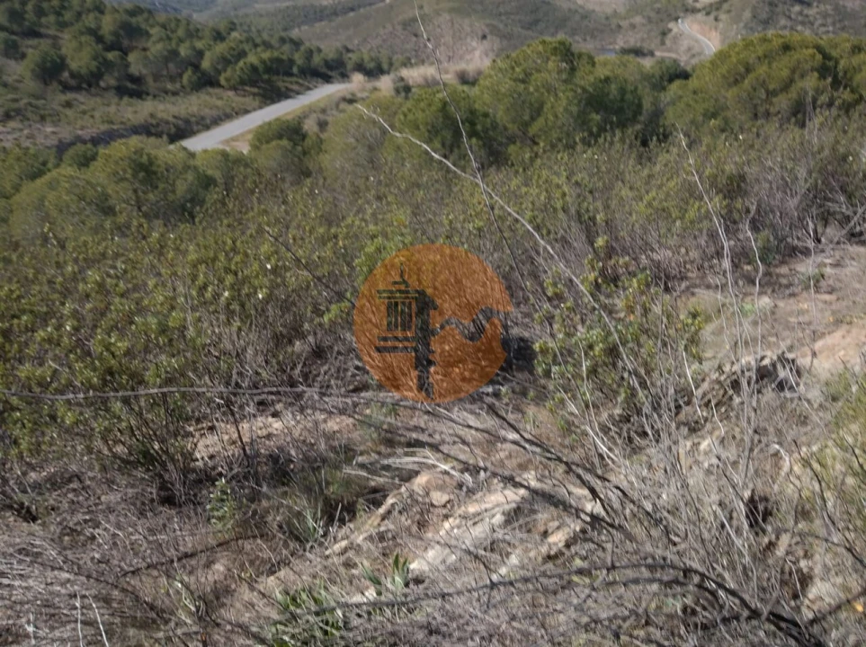 Quinta T0 para Venda em Alcoutim e Pereiro Foto 37