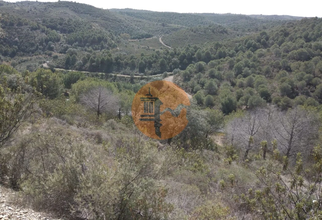 Quinta T0 para Venda em Alcoutim e Pereiro Foto 39