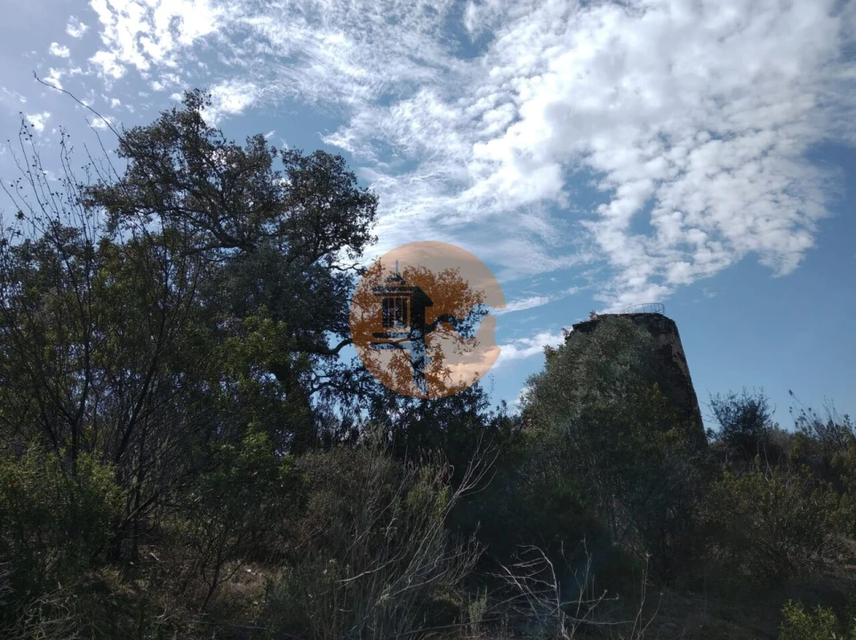 Quinta T0 para Venda em Alcoutim e Pereiro Foto 49