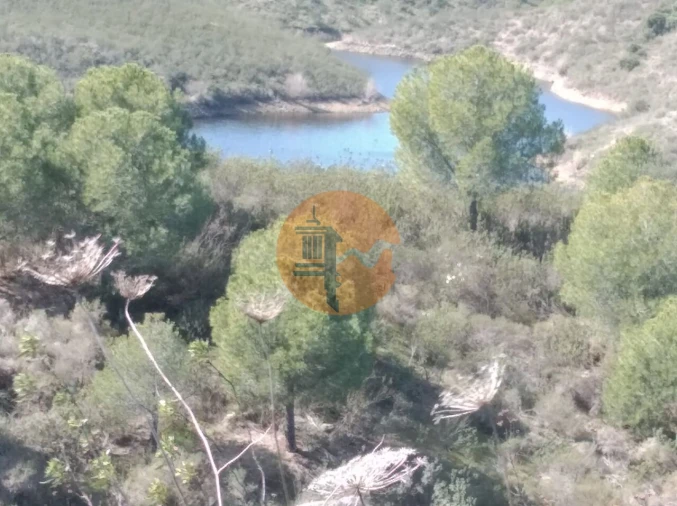 Quinta T0 para Venda em Alcoutim e Pereiro Foto 5