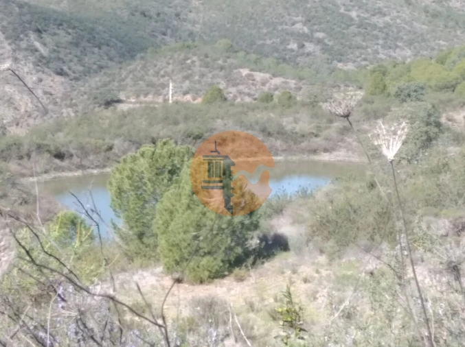 Quinta T0 para Venda em Alcoutim e Pereiro Foto 23