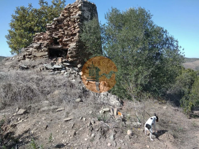 Quinta T0 para Venda em Alcoutim e Pereiro Foto 25