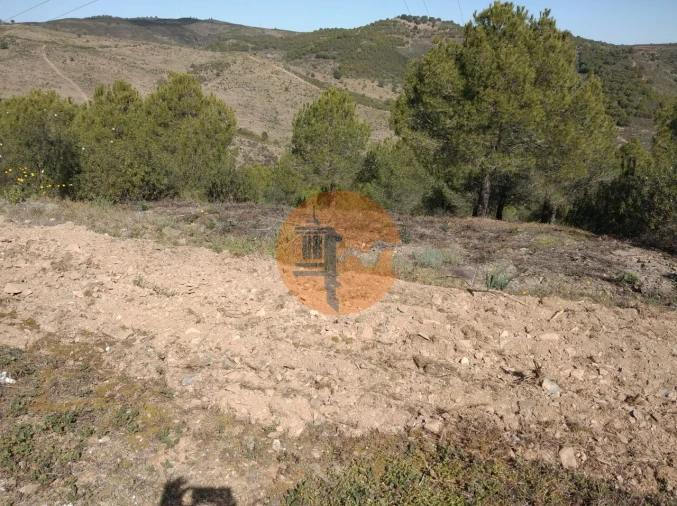 Quinta T0 para Venda em Alcoutim e Pereiro Foto 30