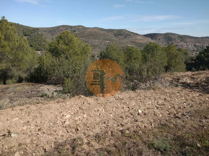 Quinta T0 para Venda em Alcoutim e Pereiro Foto 32