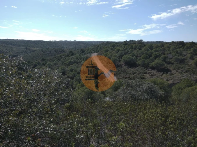Quinta T0 para Venda em Alcoutim e Pereiro Foto 36