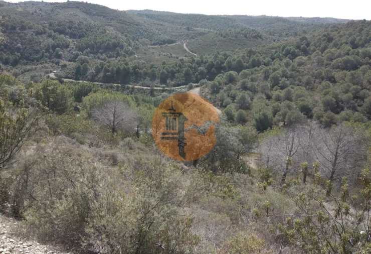 Quinta T0 para Venda em Alcoutim e Pereiro Foto 39