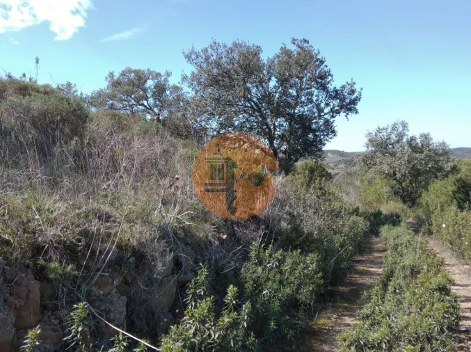 Quinta T0 para Venda em Alcoutim e Pereiro Foto 44