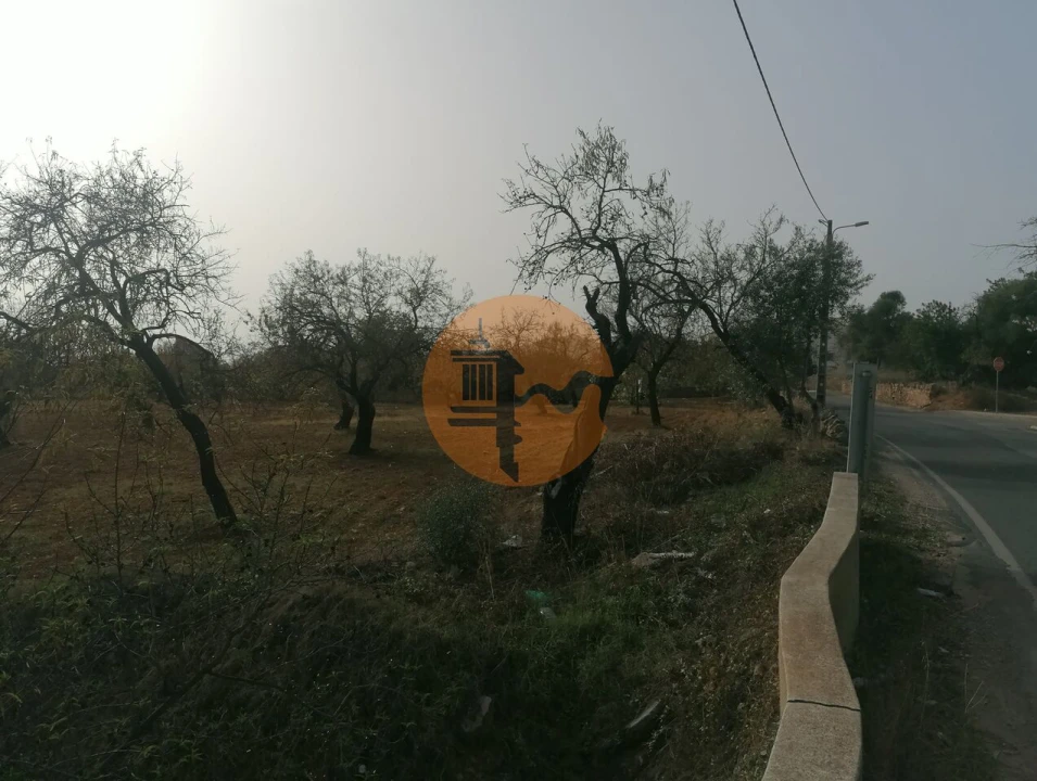 Terreno para Venda em Conceição e Estoi Foto 5