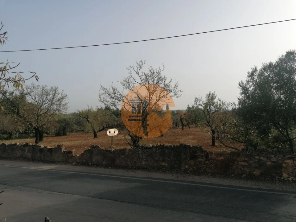 Terreno para Venda em Conceição e Estoi Foto 4