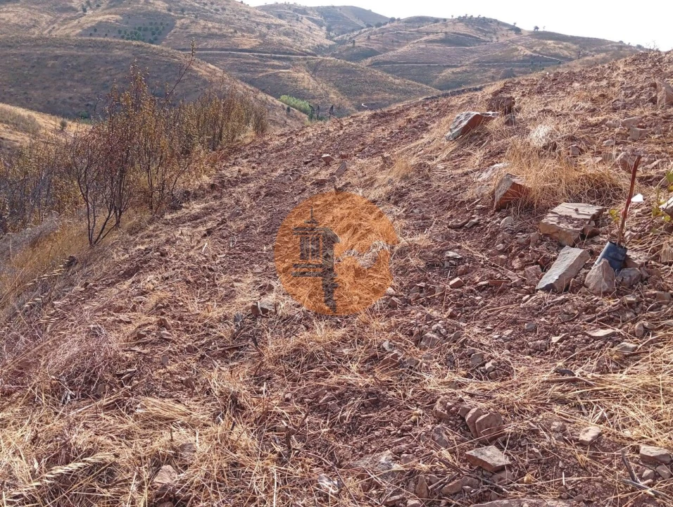 Terreno para Venda em Conceição e Cabanas de Tavira Foto 3