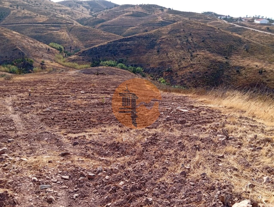 Terreno para Venda em Conceição e Cabanas de Tavira Foto 6
