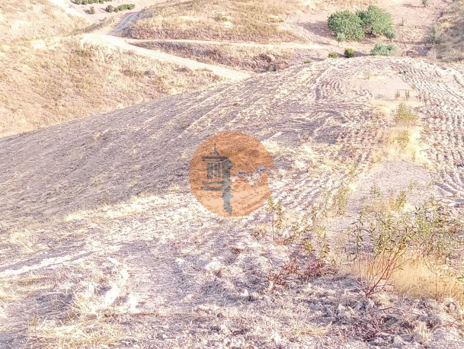 Terreno para Venda em Conceição e Cabanas de Tavira Foto 14