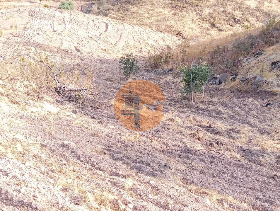 Terreno para Venda em Conceição e Cabanas de Tavira Foto 16