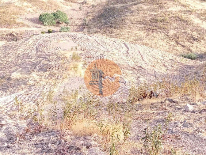 Terreno para Venda em Conceição e Cabanas de Tavira Foto 15