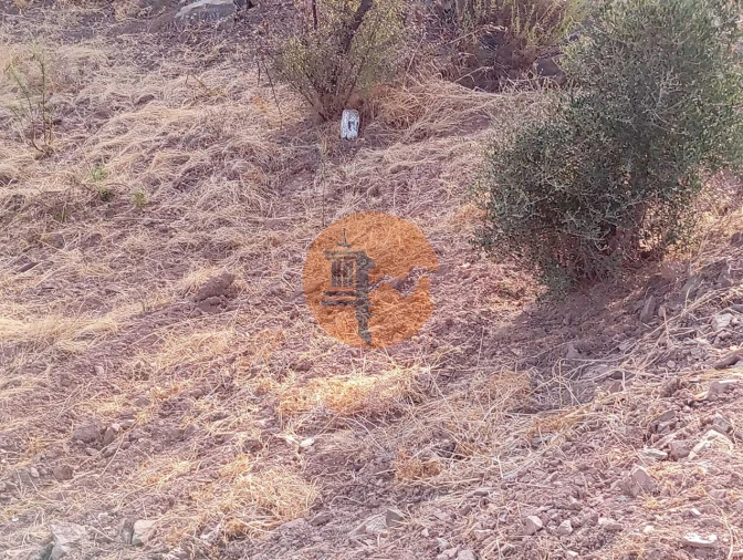 Terreno para Venda em Conceição e Cabanas de Tavira Foto 18