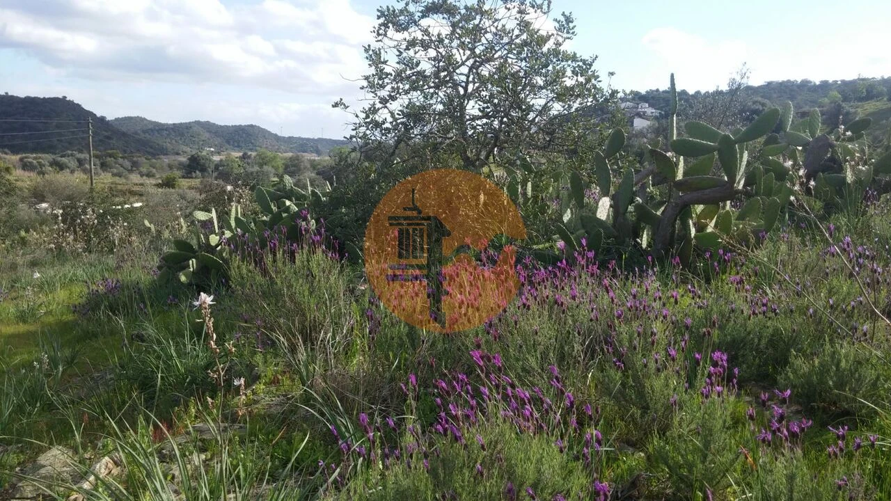 Terreno para Venda em Alcoutim e Pereiro Foto 5