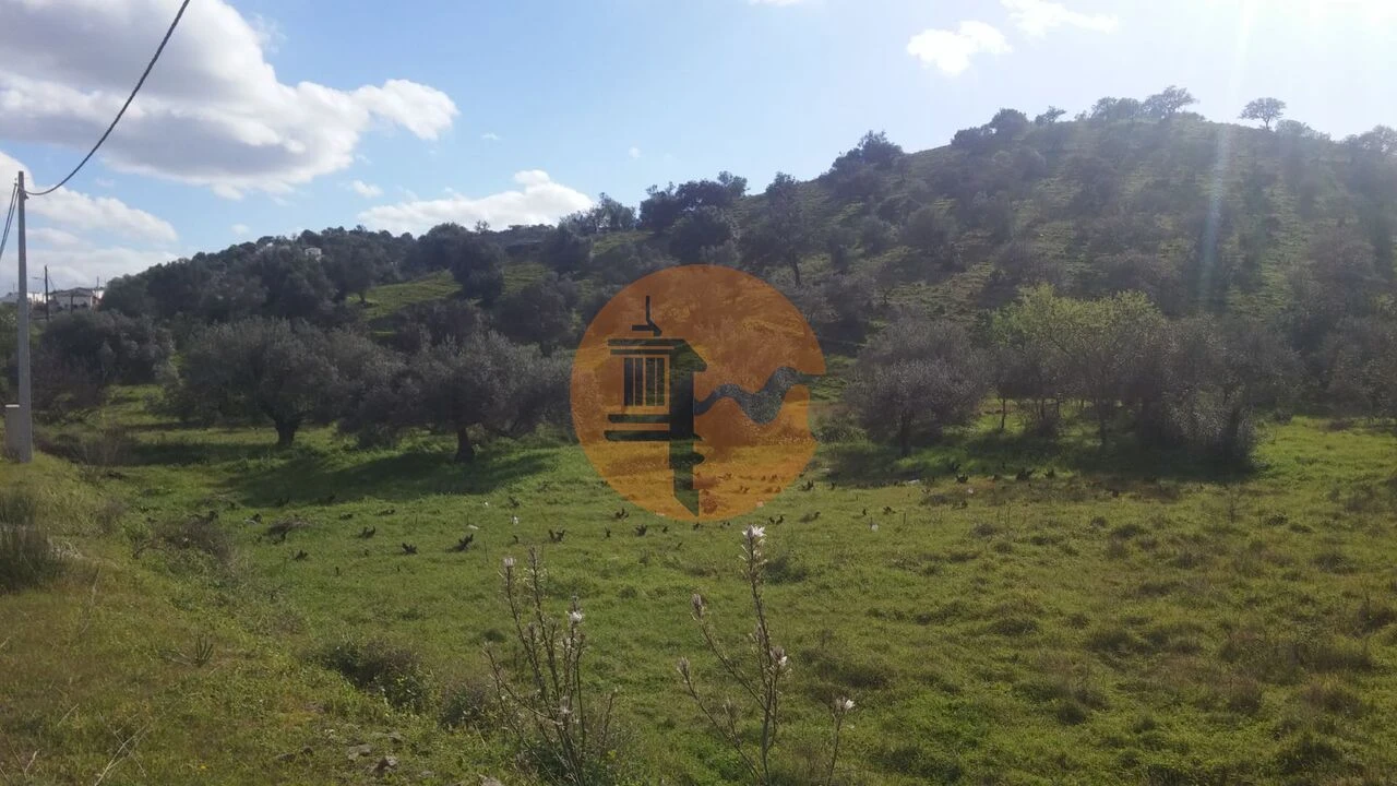 Terreno para Venda em Alcoutim e Pereiro Foto 9