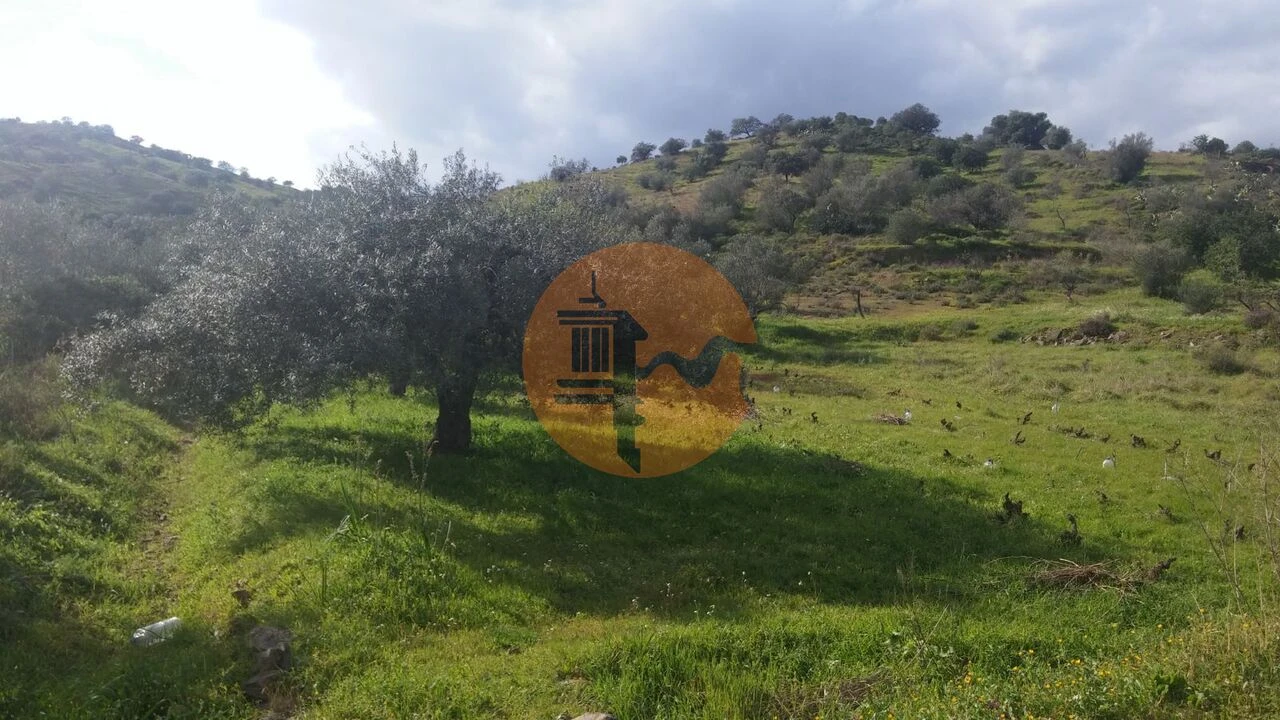 Terreno para Venda em Alcoutim e Pereiro Foto 10