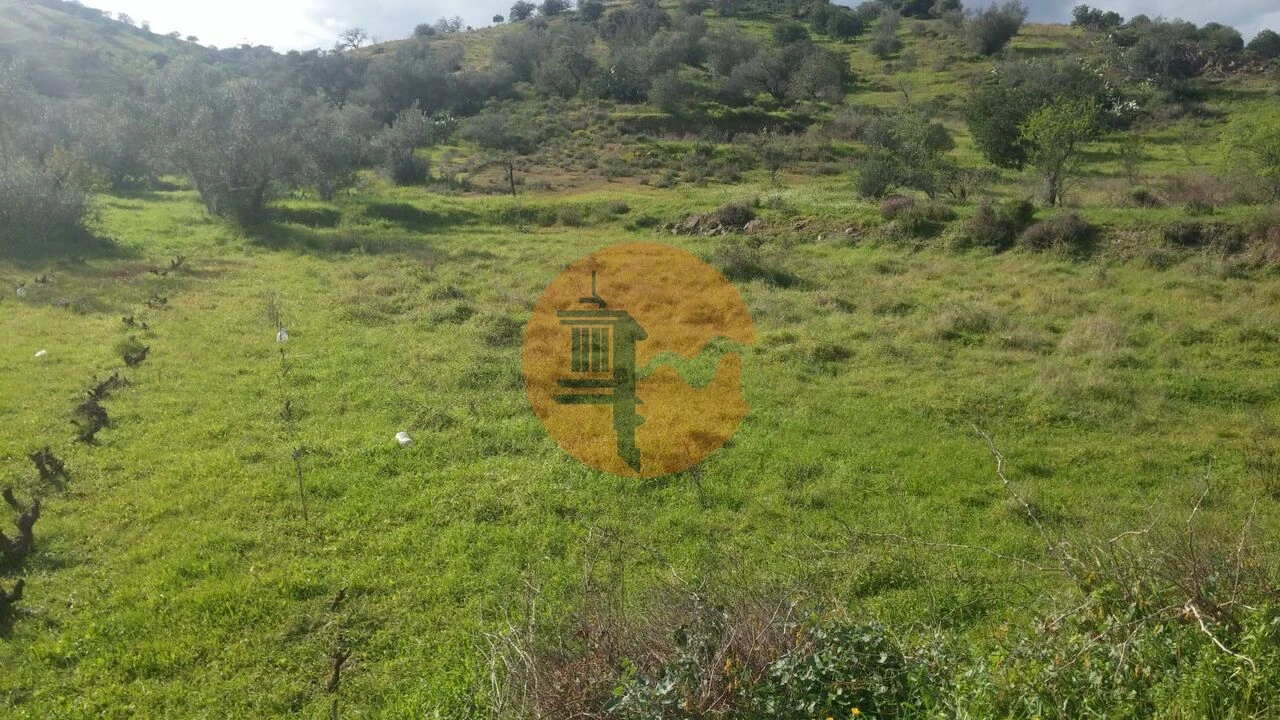 Terreno para Venda em Alcoutim e Pereiro Foto 11