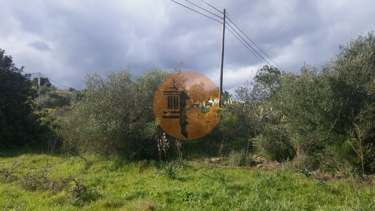 Terreno para Venda em Alcoutim e Pereiro Foto 12