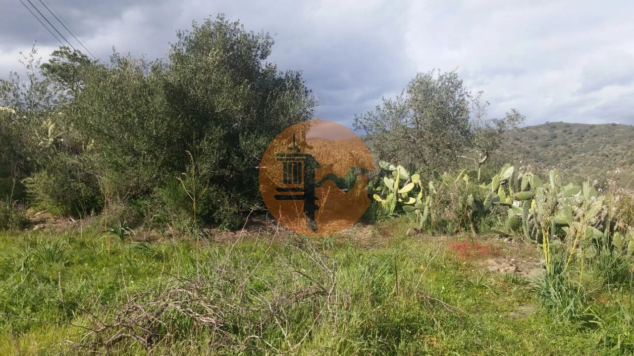 Terreno para Venda em Alcoutim e Pereiro Foto 13