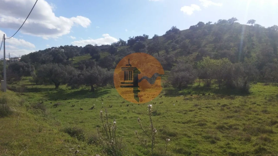 Terreno para Venda em Alcoutim e Pereiro Foto 9