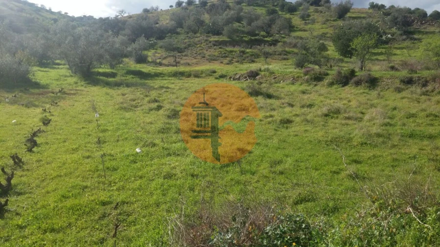 Terreno para Venda em Alcoutim e Pereiro Foto 11
