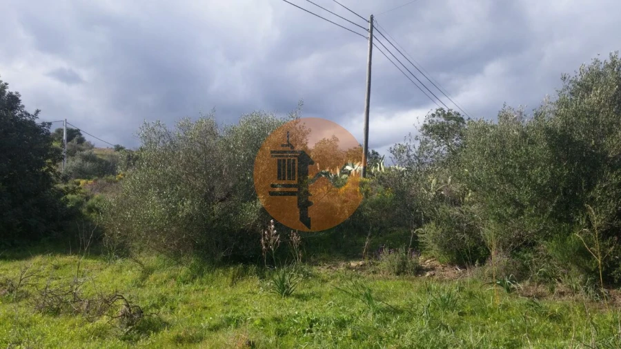 Terreno para Venda em Alcoutim e Pereiro Foto 12