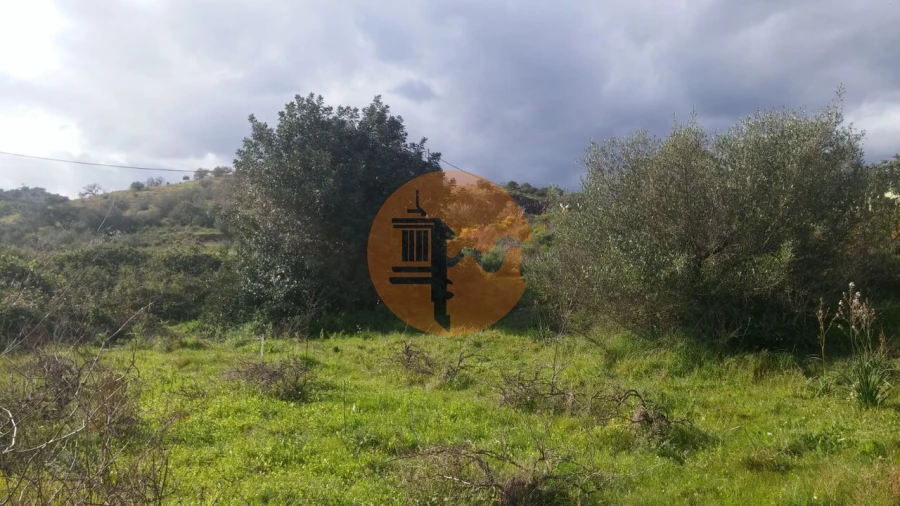 Terreno para Venda em Alcoutim e Pereiro Foto 14
