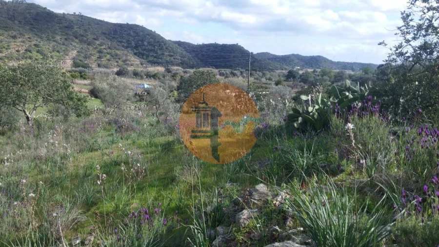 Terreno para Venda em Alcoutim e Pereiro Foto 15