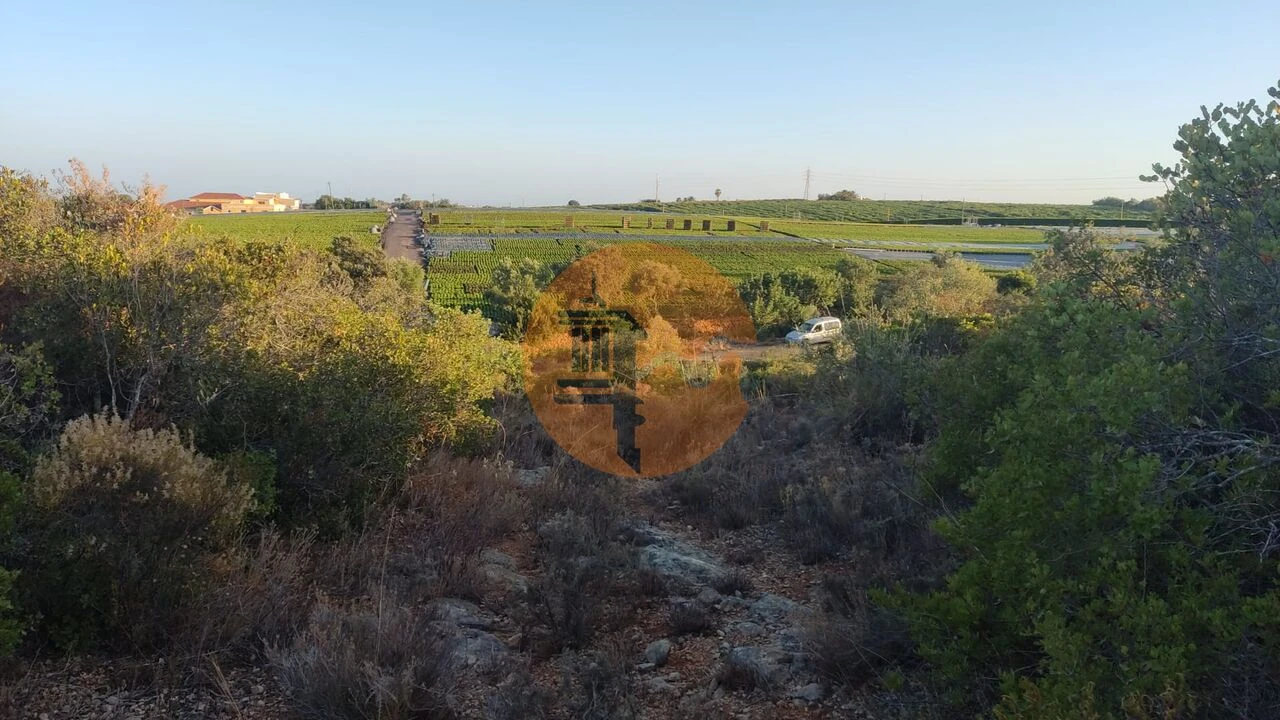Terreno para Venda em Moncarapacho e Fuseta Foto 18
