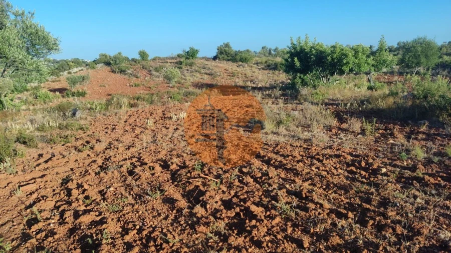 Terreno para Venda em Moncarapacho e Fuseta Foto 2