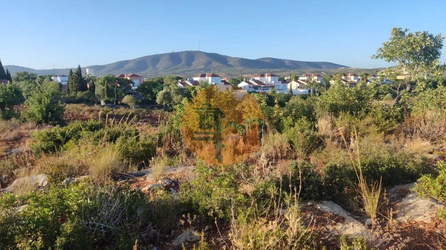 Terreno para Venda em Moncarapacho e Fuseta Foto 13