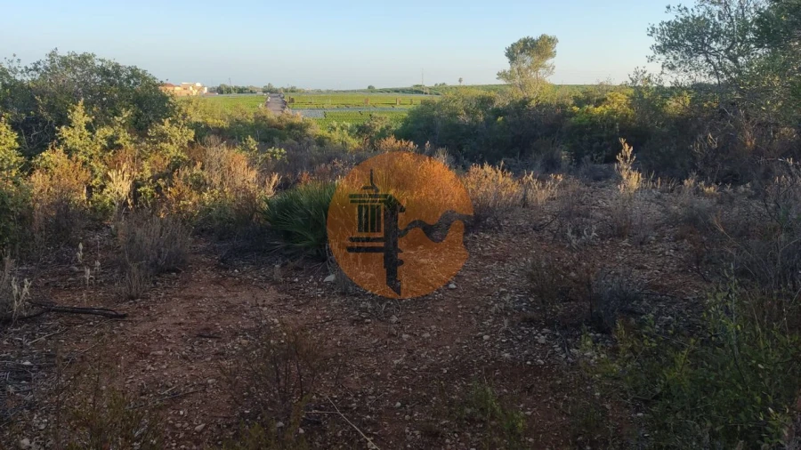 Terreno para Venda em Moncarapacho e Fuseta Foto 19