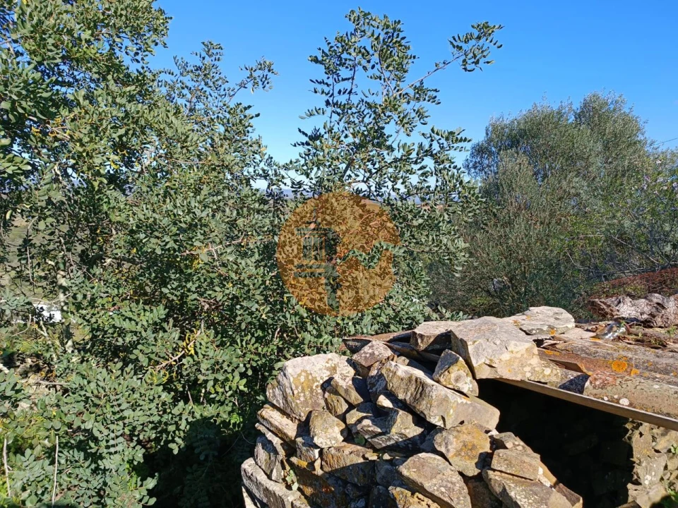 Moradia T1 para Venda em Alcoutim e Pereiro Foto 23