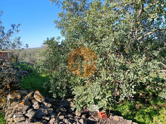 Moradia T1 para Venda em Alcoutim e Pereiro Foto 24