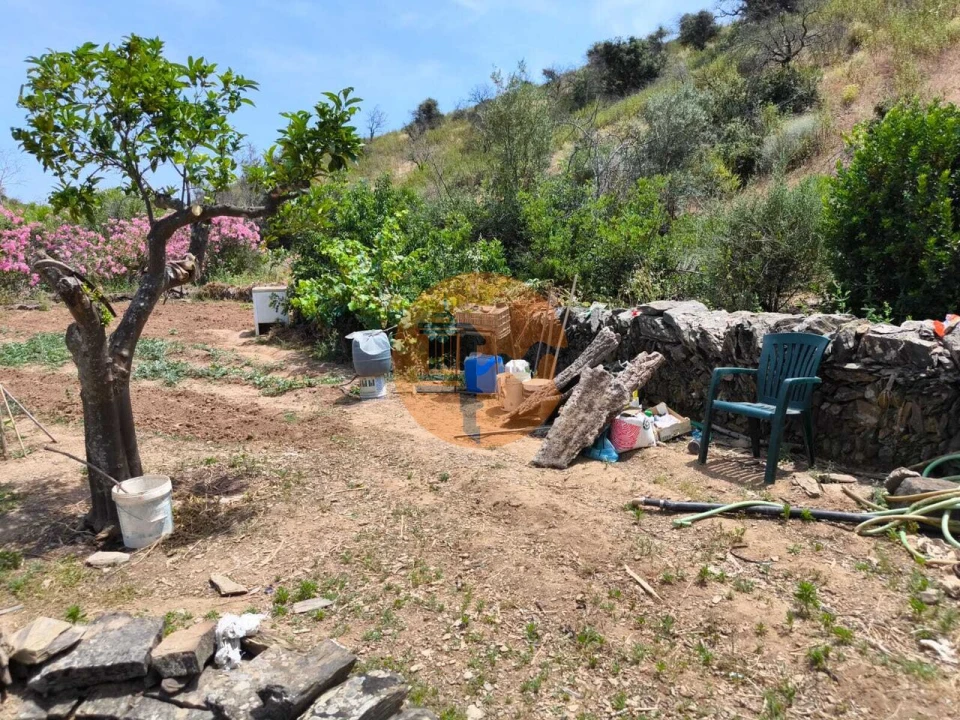 Terreno para Venda em Conceição e Cabanas de Tavira Foto 6