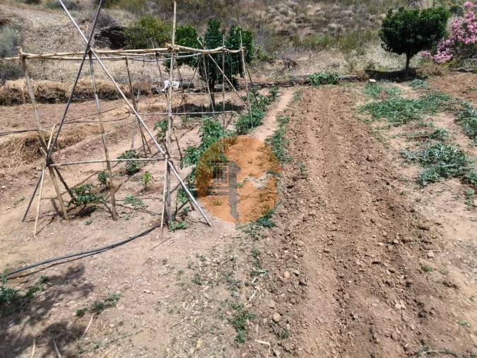 Terreno para Venda em Conceição e Cabanas de Tavira Foto 3