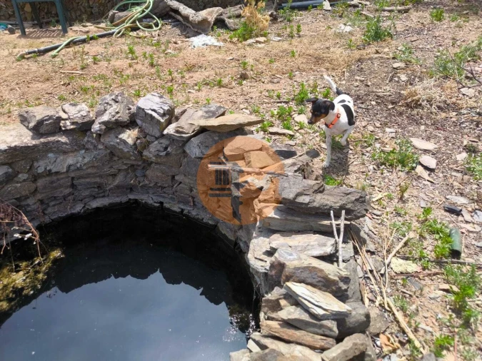 Terreno para Venda em Conceição e Cabanas de Tavira Foto 9