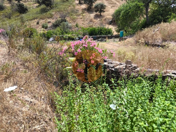 Terreno para Venda em Conceição e Cabanas de Tavira Foto 17