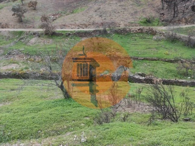 Terreno para Venda em Conceição e Cabanas de Tavira Foto 21