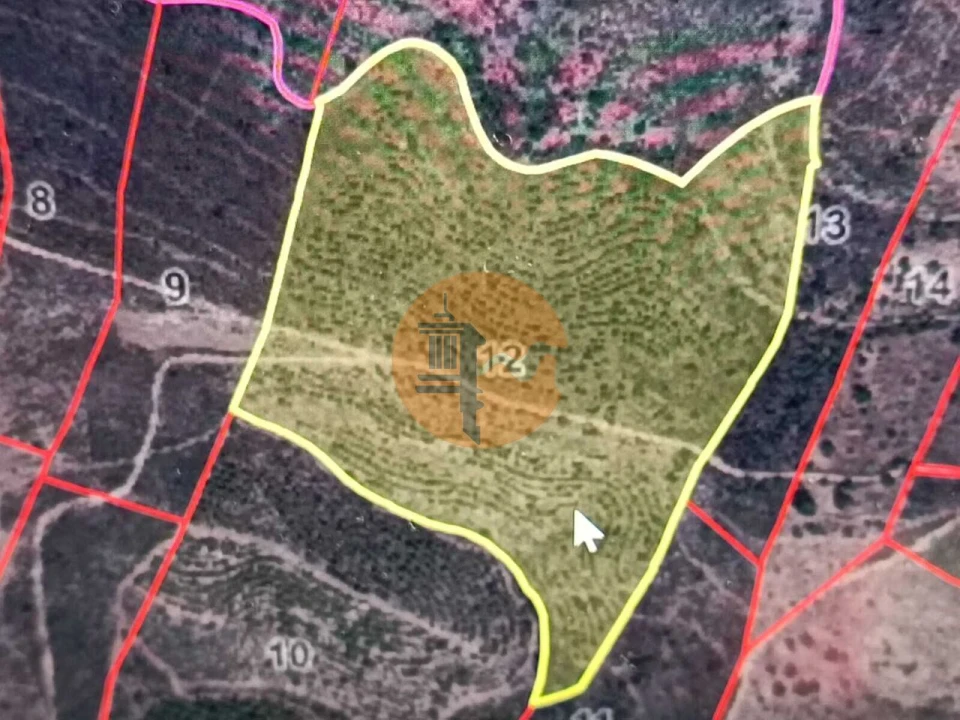 Terreno para Venda em Alcoutim e Pereiro Foto 2