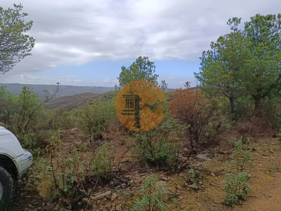 Terreno para Venda em Alcoutim e Pereiro Foto 3