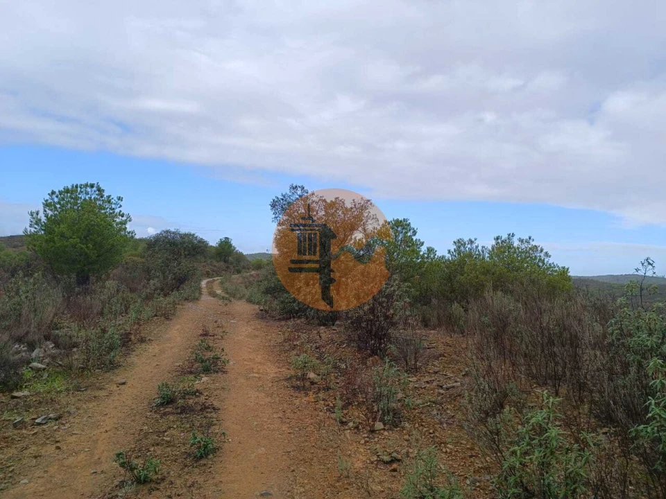 Terreno para Venda em Alcoutim e Pereiro Foto 5