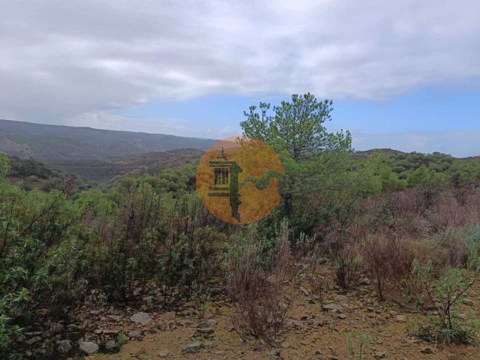 Terreno para Venda em Alcoutim e Pereiro Foto 6