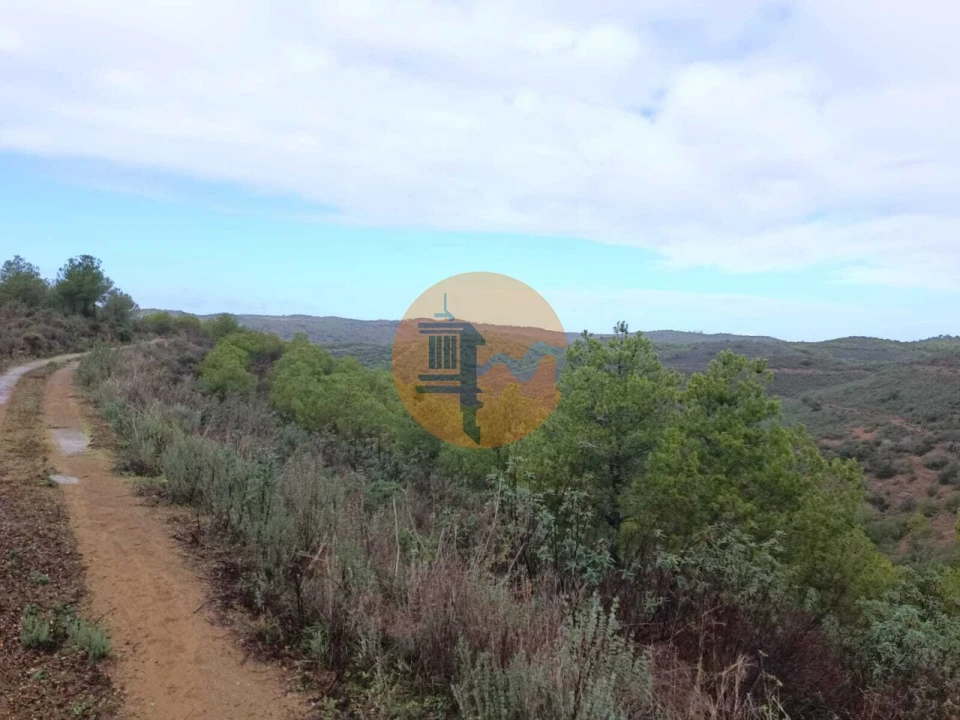 Terreno para Venda em Alcoutim e Pereiro Foto 9