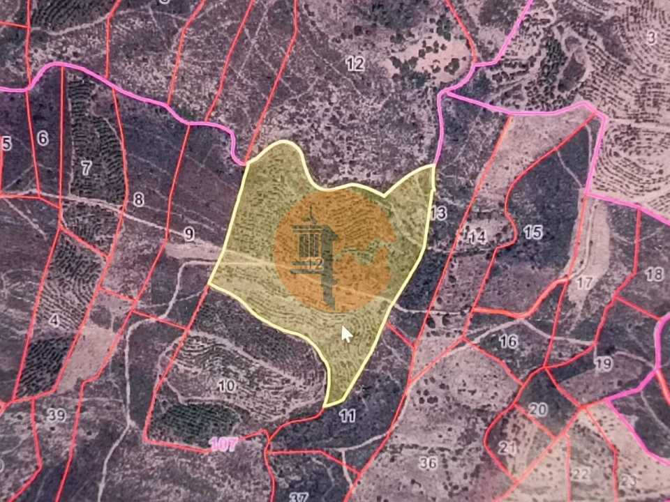 Terreno para Venda em Alcoutim e Pereiro Foto 11